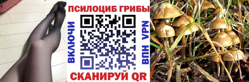 Псилоцибиновые грибы мицелий  Купить  Беломорск 